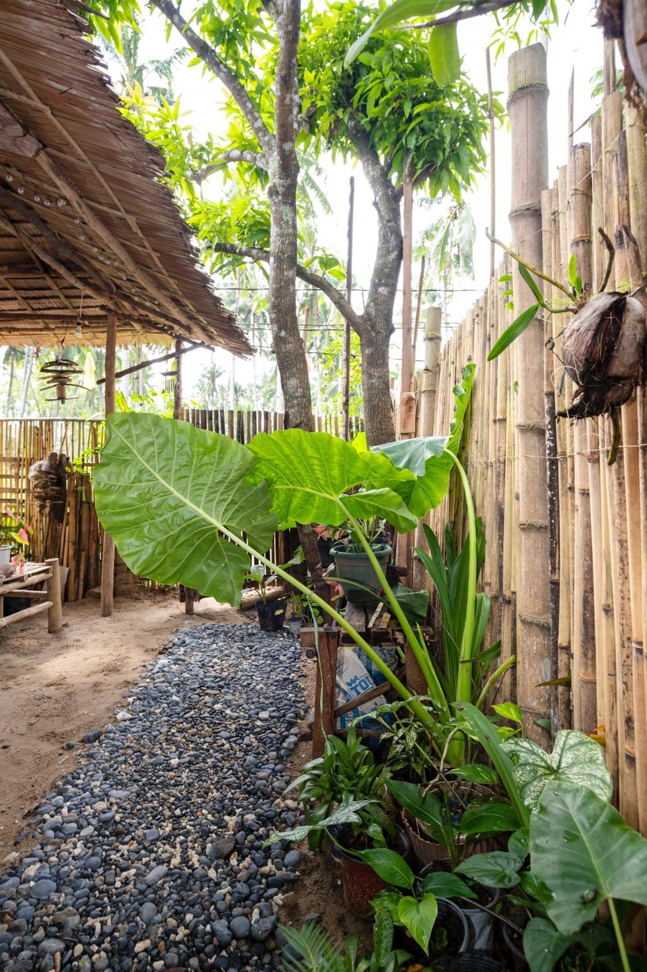 Апартаменты Femya Native House Эль-Нидо Экстерьер фото